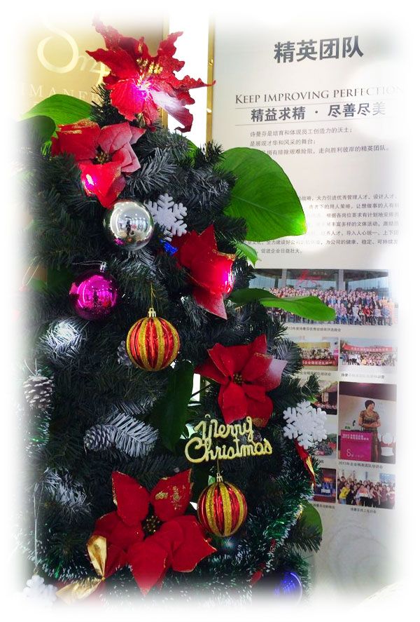 詩(shī)曼芬“七星”共祝全國(guó)加盟商圣誕快樂(lè)